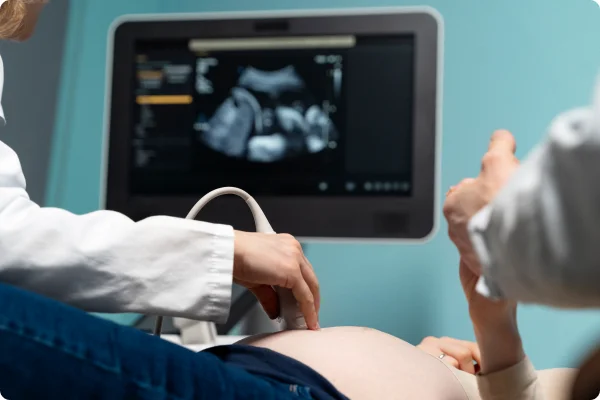 Early Pregnancy Scan